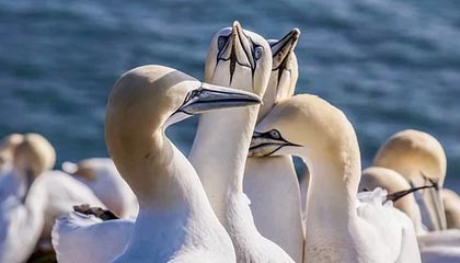 开云体育娱乐-比赛中的心理调节术：抗压能力提升指南，比赛心理调节方法